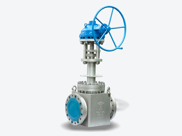 CRYOGENIC GLOBE VALVE