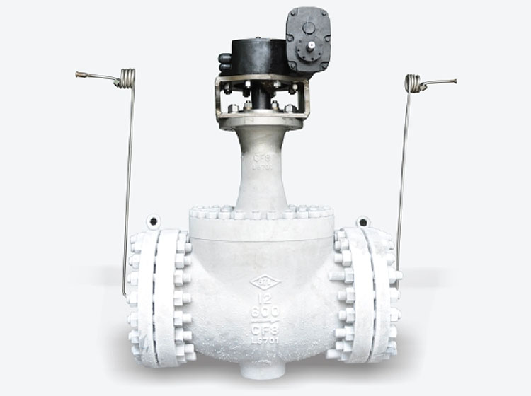 TOP ENTRY CRYOGENIC BALL VALVE